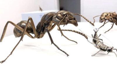 Entre art et science : un biologiste redonne vie à des insectes préhistoriques